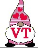 SAMPLE SALE VT Gnome