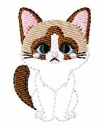 SAMPLE SALE Snowshoe Cat