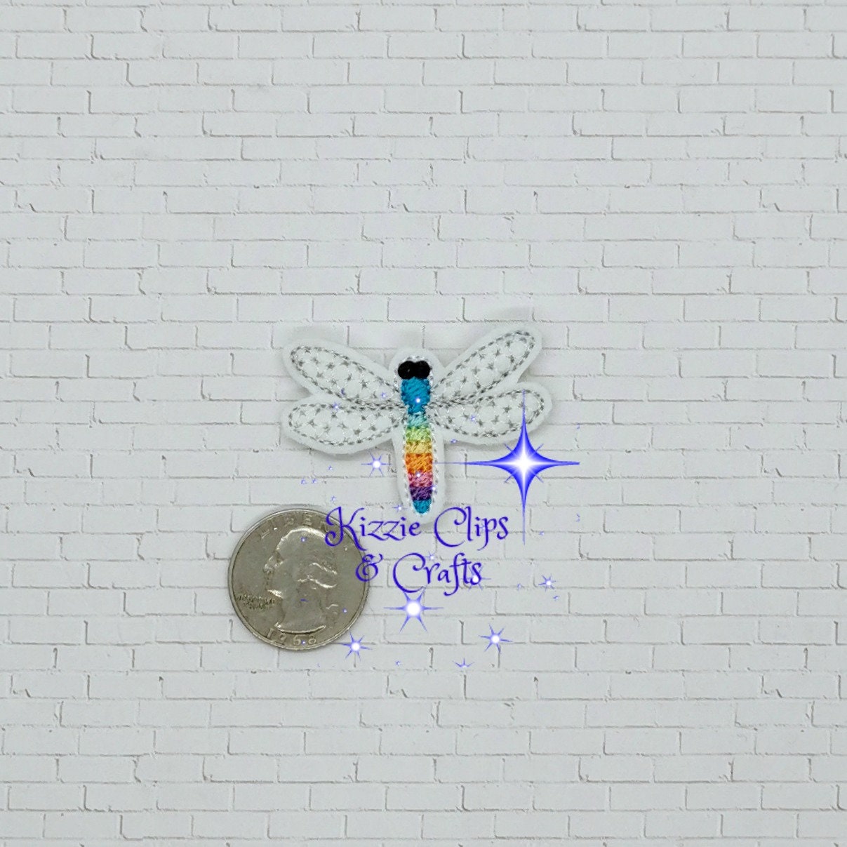 Rainbow Bug Dragonfly